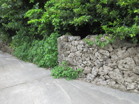 7月16日 久高島(くだかじま)_a0203003_10254579.jpg