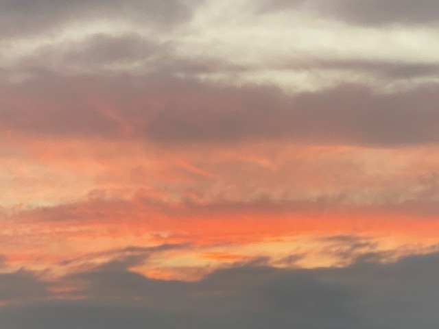 晴耕雨読_d0130714_21180263.jpg