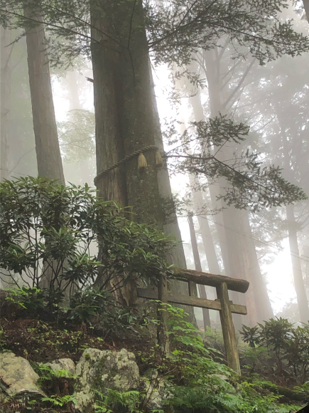 2020年の三峯神社②_a0317923_23172577.jpg