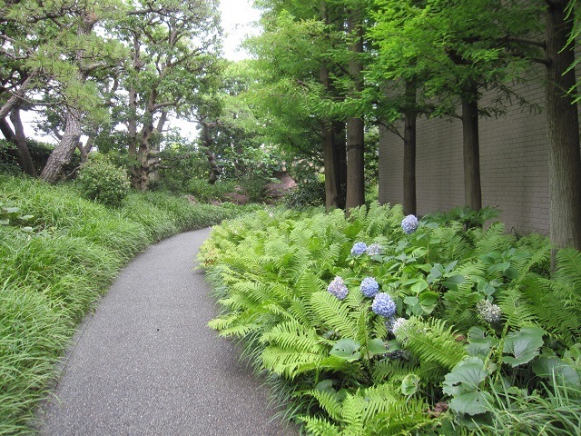 メスキータ展（兵庫・香櫨園）_f0231831_21111989.jpg