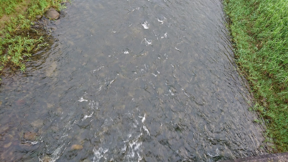 7月18日 河川情報。..._c0266737_06161427.jpg