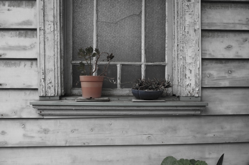 暗澹たる思い 旅とグルメと散歩と