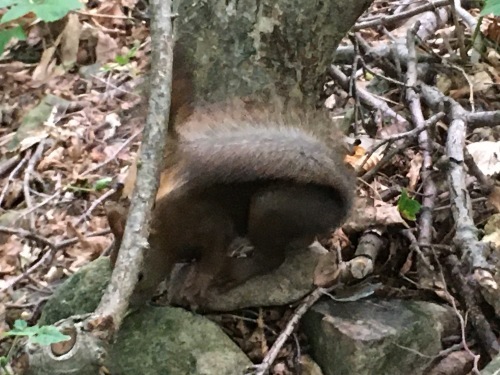 あいの里緑地散歩と薬草園_e0326953_18483261.jpg