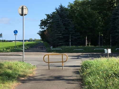 あいの里緑地散歩と薬草園_e0326953_19552409.jpg
