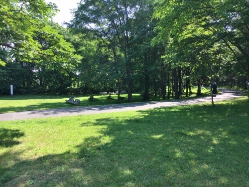 あいの里緑地散歩と薬草園_e0326953_20082720.jpg