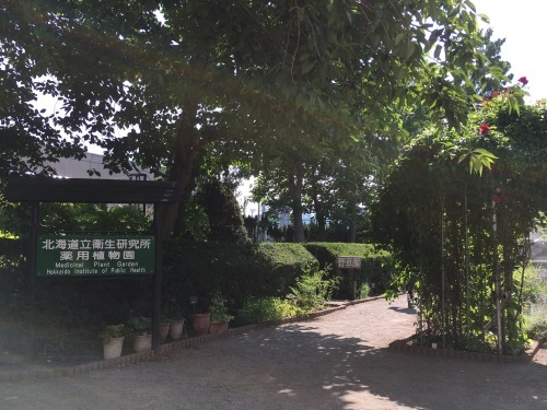 あいの里緑地散歩と薬草園_e0326953_21243077.jpeg