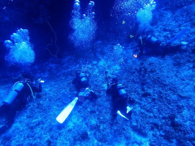 7月18日 夏の与那国、定番コース_d0113459_18051890.jpg