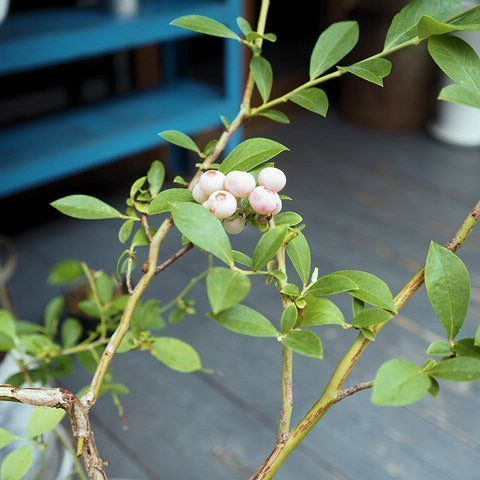 生きとる_b0322280_19290785.jpg