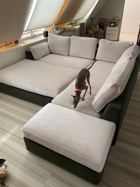 ソファが新品同様に!_b0179298_16041278.jpg