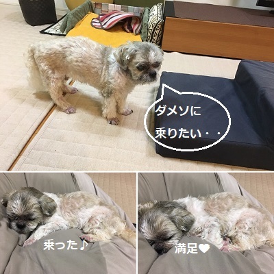 王子とダメソ。_f0372998_21041501.jpg