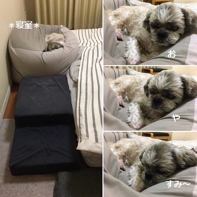 王子とダメソ。_f0372998_21042427.jpg