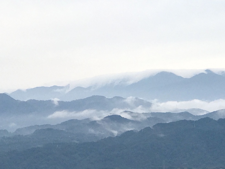 おはよう丹沢!ふんわり雲に包まれて_c0212604_61074.jpg