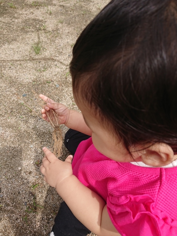 公園_a0361310_22555061.jpg