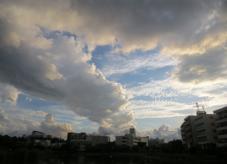  ■明けるかどうか分からぬ梅雨の空、そしてこの国の暗雲…──週替わりの夕暮れ［7/14・16・19］_d0190217_23574794.jpg