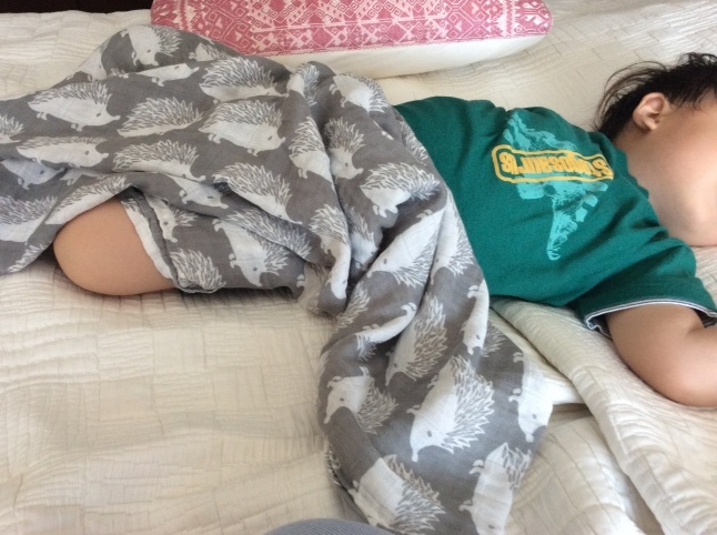 手づくりおもちゃ ふみきり遊び_d0348118_14125382.jpeg