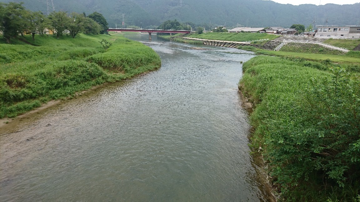 7月19日 河川情報。..._c0266737_07083461.jpg