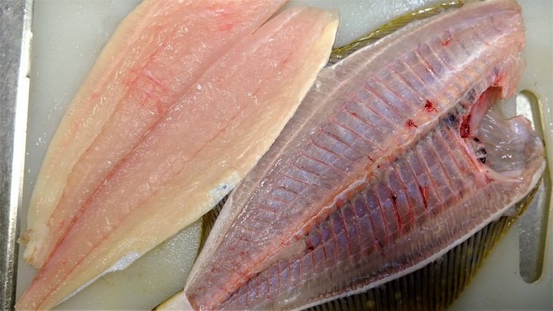 ヒラメの五枚下ろし やってみた Tabi Photo Logue Vol 2 ヒラメの五枚下ろし やってみた Tabi Photo Logue Vol 2