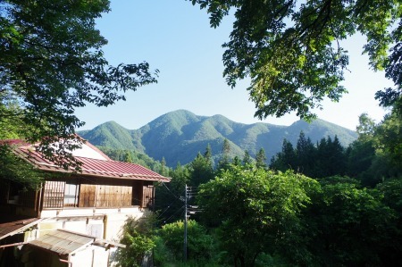 やっぱり晴れは 気持ちいい!!_f0114346_06525718.jpg