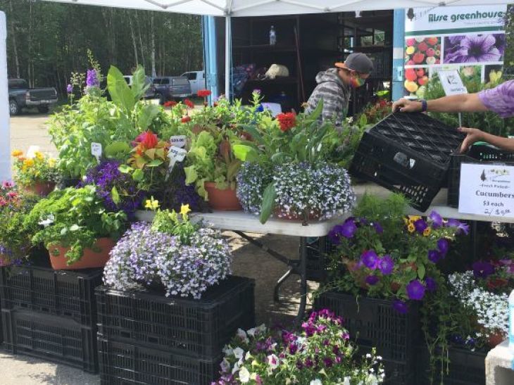 ファーマーズマーケット Tanana Valley Farmers Market 2_b0135948_13404568.jpg