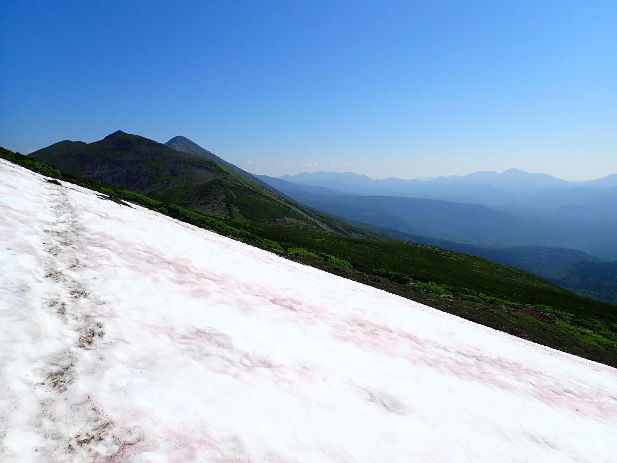 オプタテシケ山2013m～前編　2020.07.18_e0352951_06501004.jpg