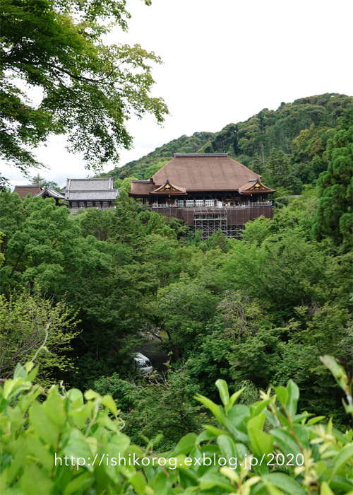 最も優遇の 清水寺様 バインダー３点 マジック：ザ・ギャザリング