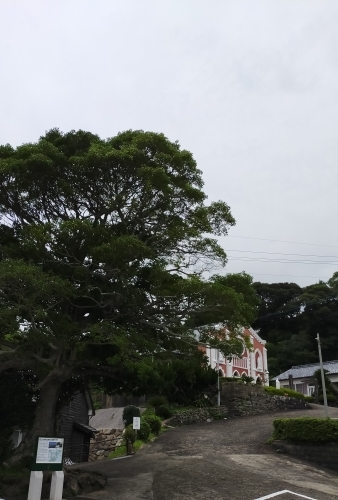 平戸と田平の教会へ_d0195183_16363720.jpg