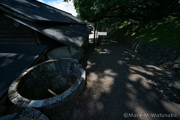 下城の大銀杏の例の場所_e0135098_22335653.jpg