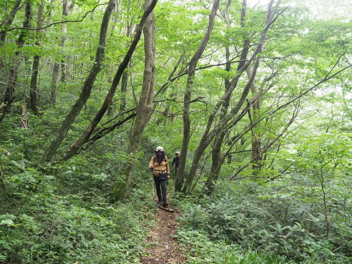 福田頭登山_c0116915_00351620.jpg