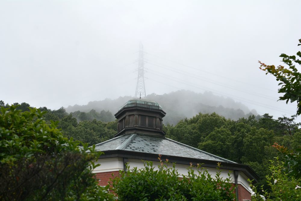 霧に煙る_e0373930_20255320.jpg