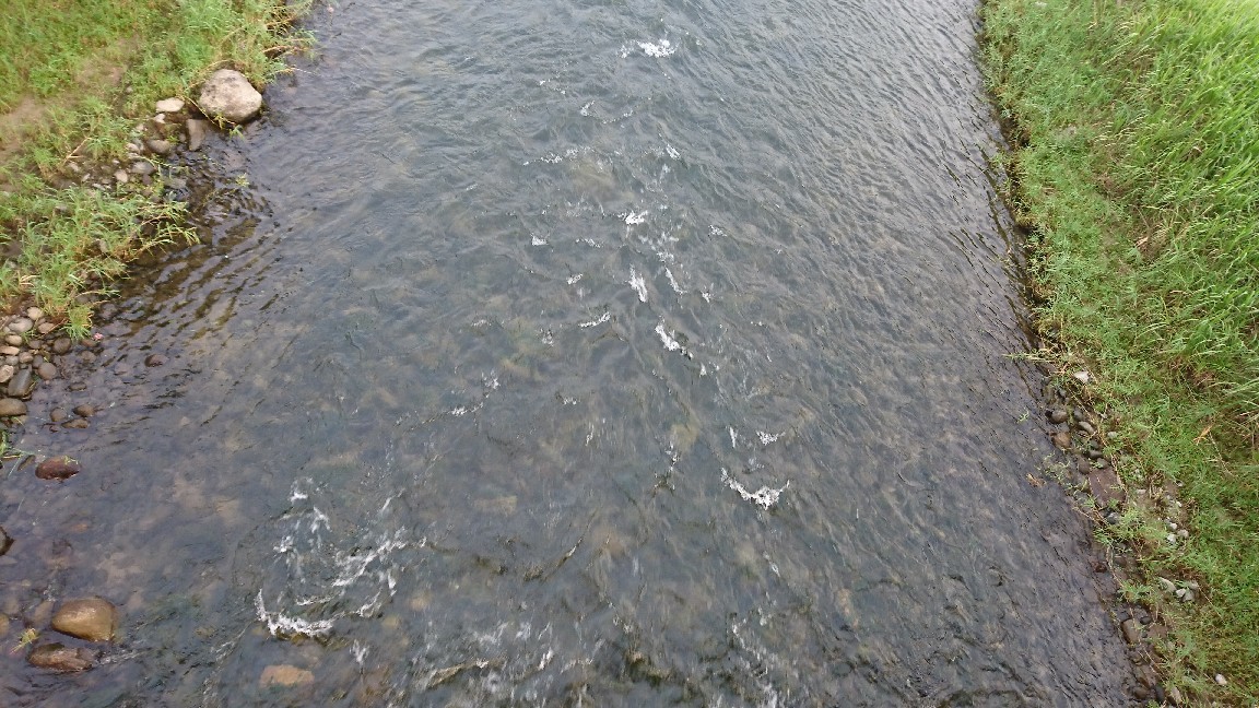 7月20日 河川情報。..._c0266737_06331262.jpg