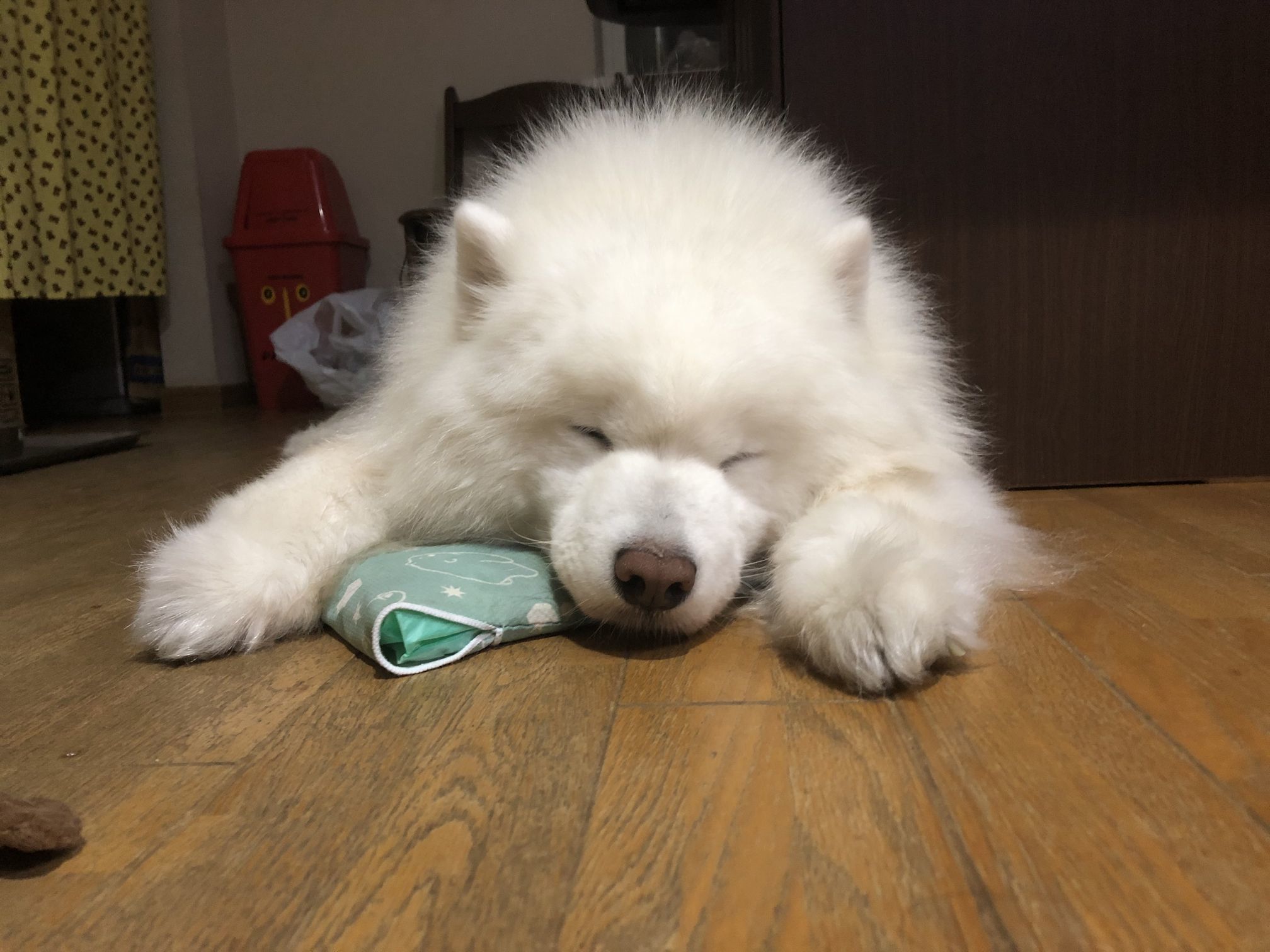 2020年6月後半 インスタ写真集 その2_f0128542_14495635.jpg