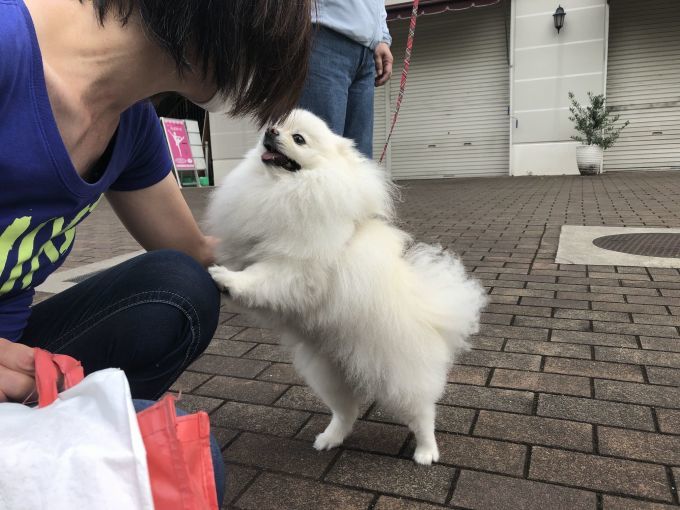 2020年6月後半 インスタ写真集 その2_f0128542_14542935.jpg