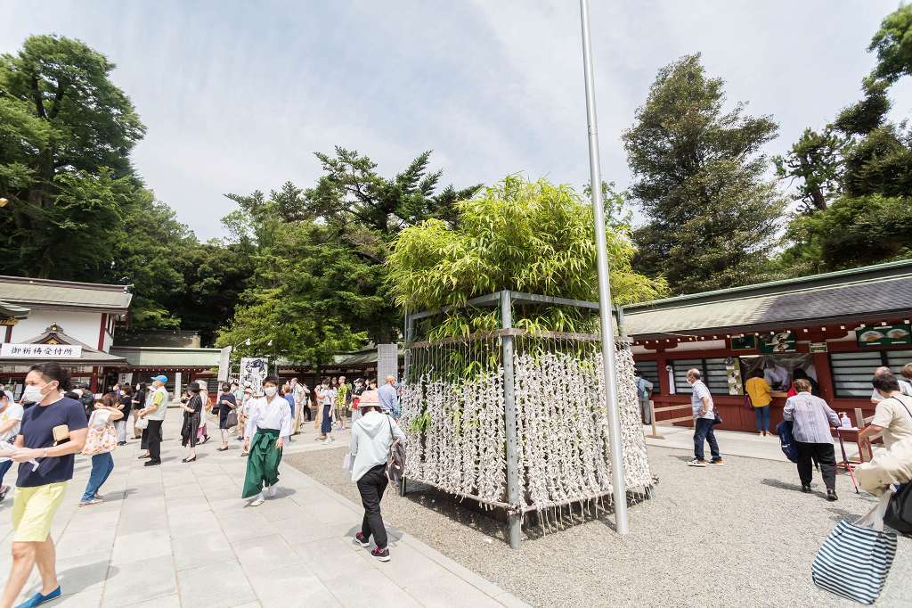 大國魂神社すもも祭り_f0044056_13214029.jpg