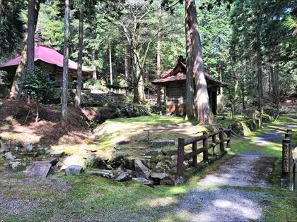 湖南アルプスの由緒ある古い寺 金勝寺_e0044657_21350451.jpg