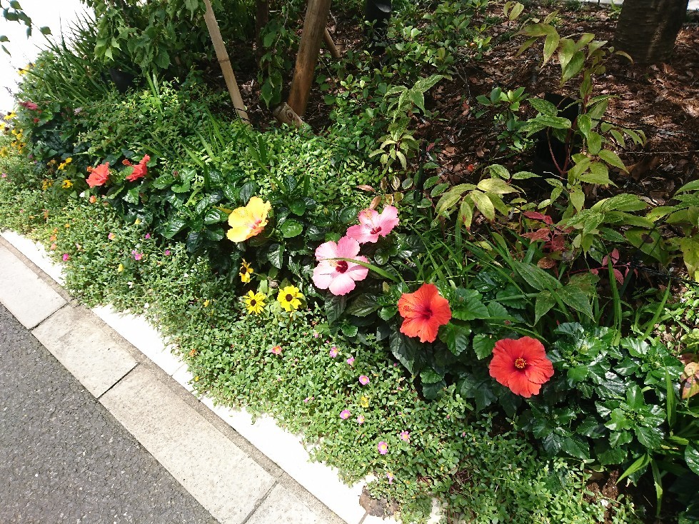 おはようモーニング_c0100865_05243776.jpg