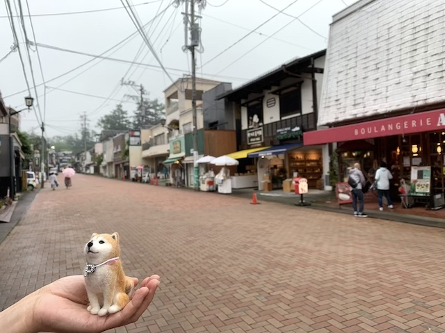 ぱんこと一緒に里帰り_b0274270_10550643.jpg