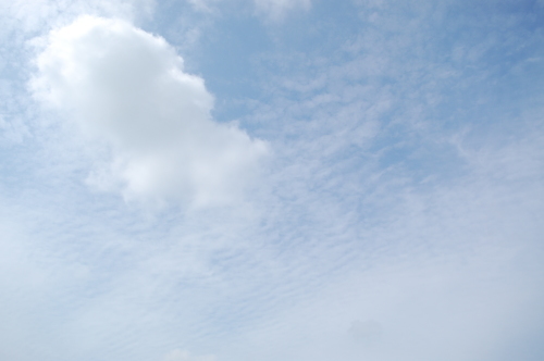 青空、そして暑い（積雲、高積雲）_e0124387_10143894.jpg