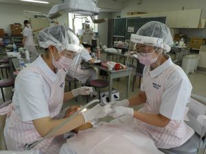 最近の学校の様子_e0196791_11132443.jpg