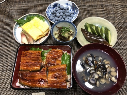 うなぎで暑さを吹っ飛ばせ_a0346704_20123504.jpg