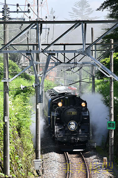 SL「大樹」と「鉄印帳」_d0110009_09353753.jpg