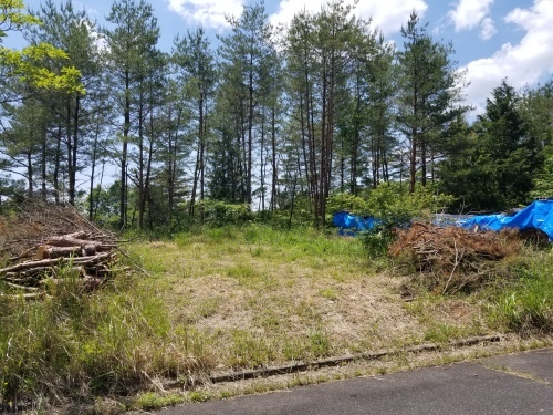 北広島町・F様邸 エクステリア工事_d0125228_04061987.jpg