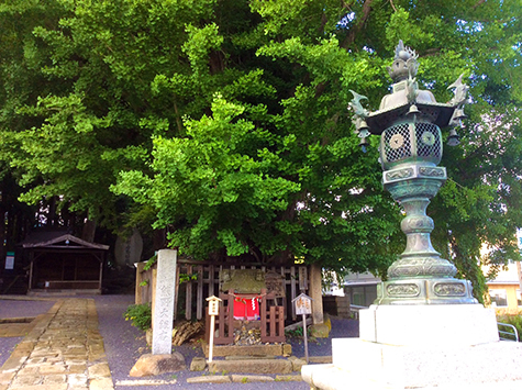 マイナンバーカード_a0399652_19225188.jpg