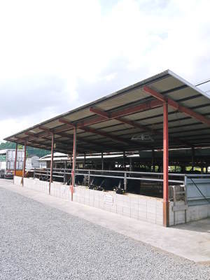 数量限定!熊本県産黒毛和牛100%のハンバーグステーキ!令和4年9月出荷分は残りわずか!早い者勝ちです!_a0254656_20072675.jpg