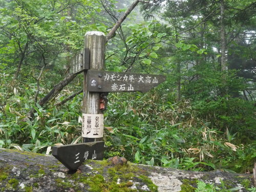 霧の野反湖 三壁山～カモシカ平～エビ山へ　　2020.７.18（土）_b0335256_11400860.jpg