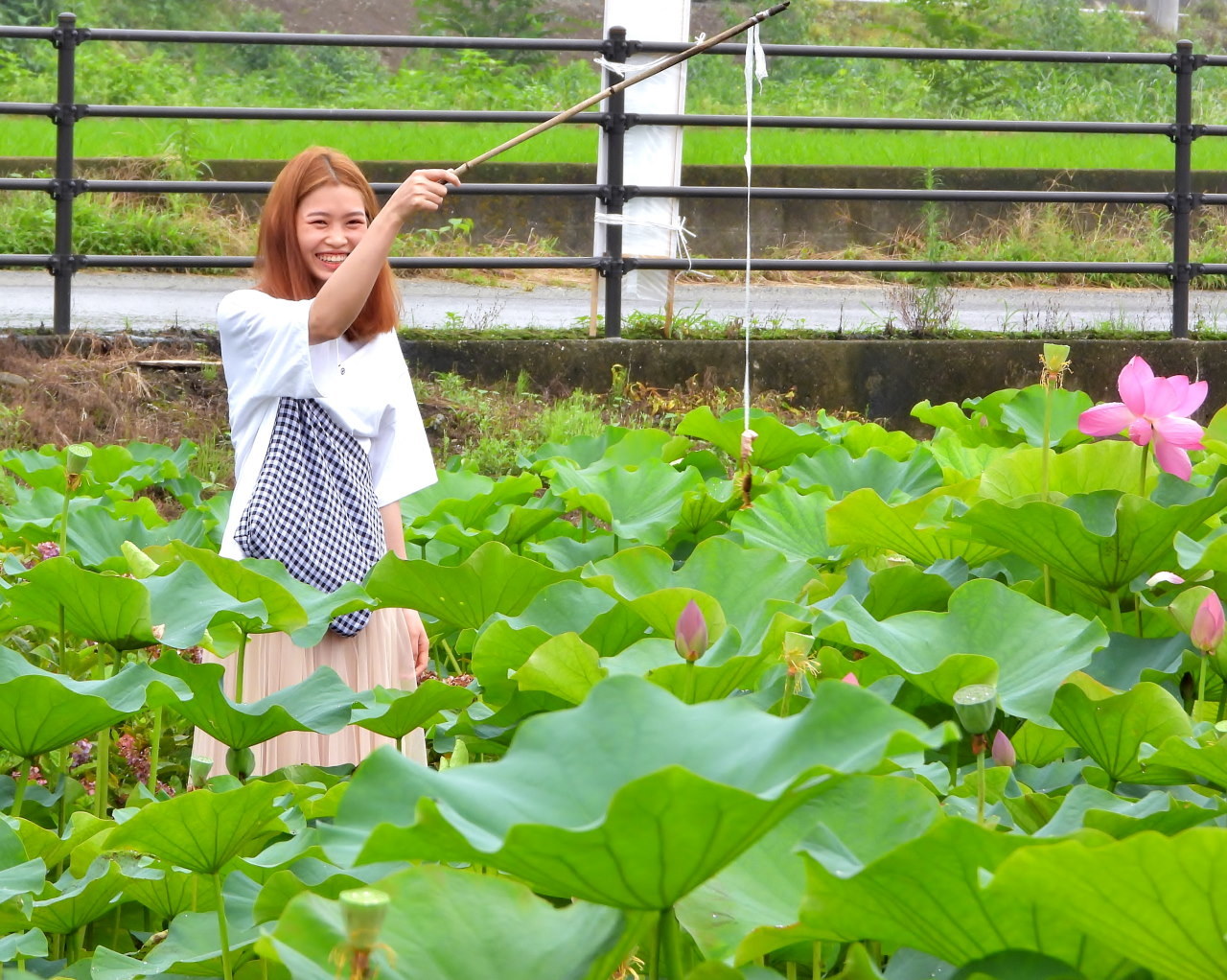あかぼり蓮園で おもにハス_c0305565_17392590.jpg