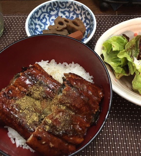 アメリカで食べる鰻丼_e0350971_00305794.jpg