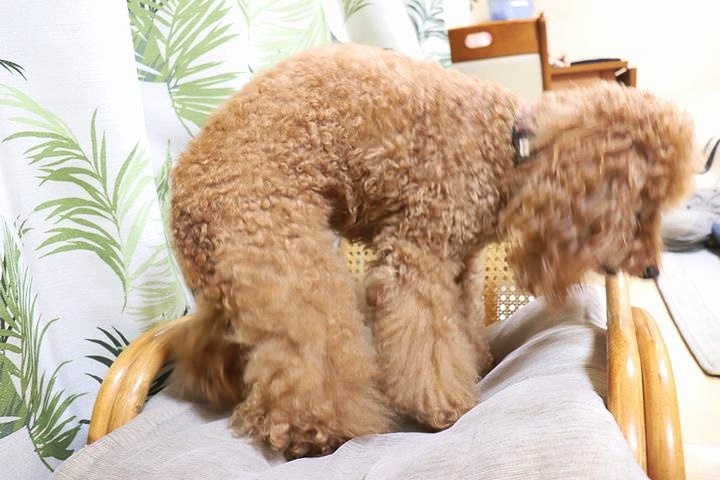 今度は肩・・・(泣_b0111376_16183727.jpg