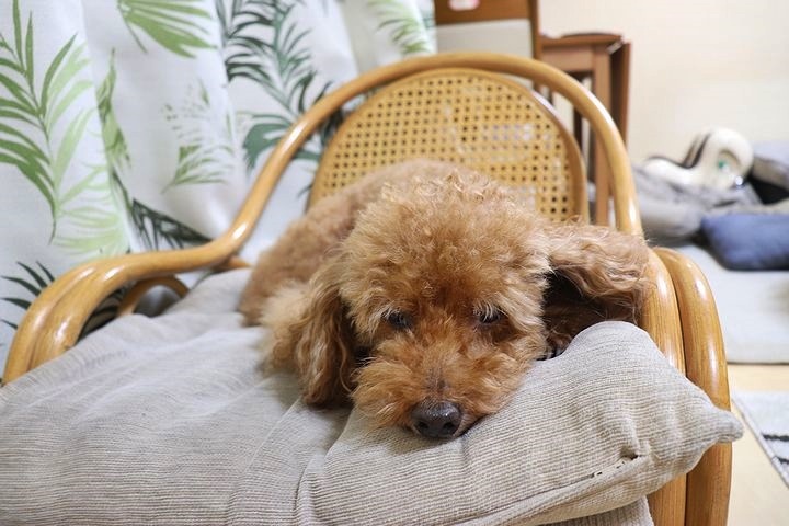 今度は肩・・・(泣_b0111376_16255249.jpg