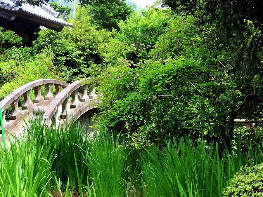 甲斐の国 続_c0187781_16391176.jpg