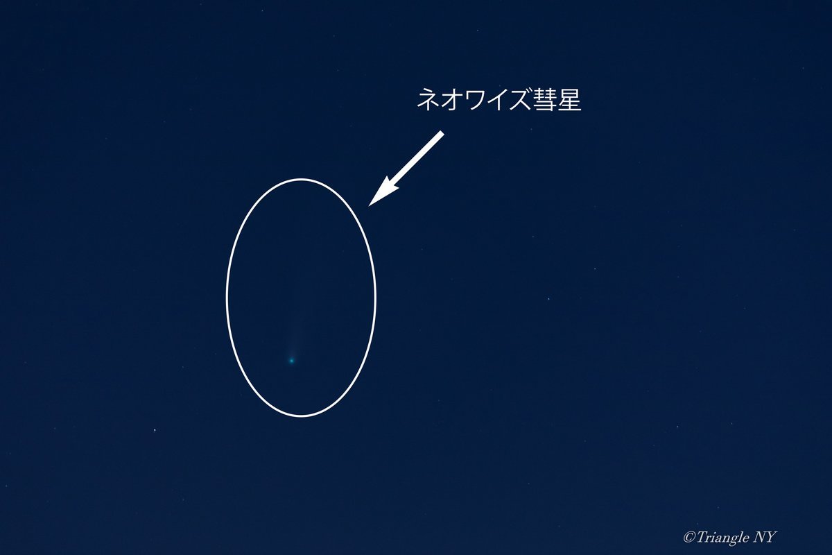 ネオワイズ彗星② 2020_a0274805_10222949.jpg